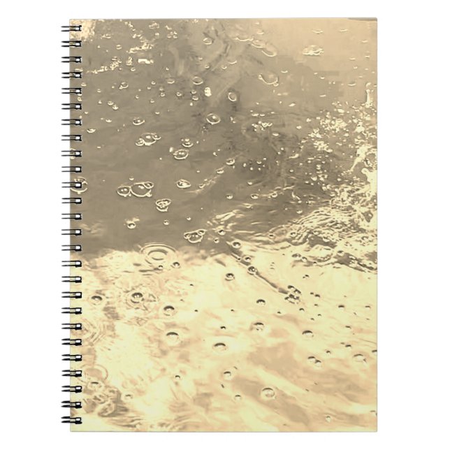 Water in Sepia Notebook  (Front)