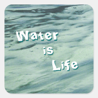 Water is Life Stickers