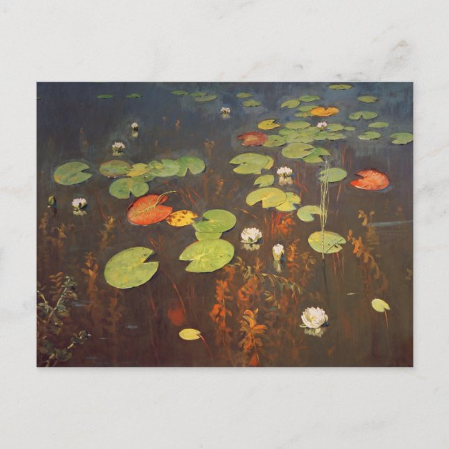 Water Lilies 1895 Postcard (Front)