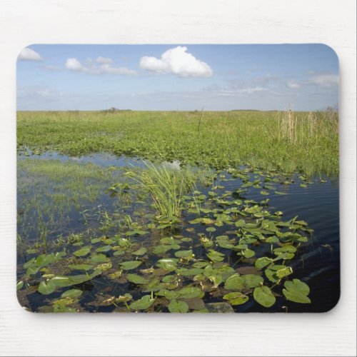 Water lilies and sawgrass in Florida everglades Mouse Pad