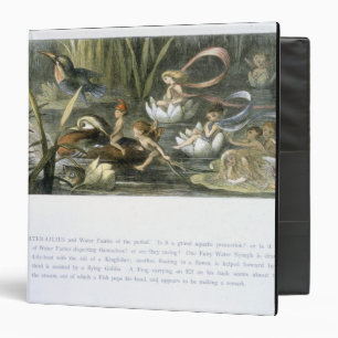 Water-Lilies and Water Fairies, illustration from Binder