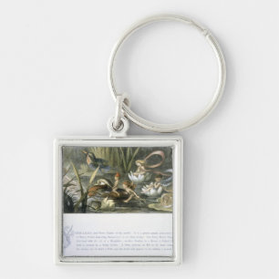 Water-Lilies and Water Fairies, illustration from Keychain