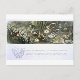 Water-Lilies and Water Fairies, illustration from Postcard
