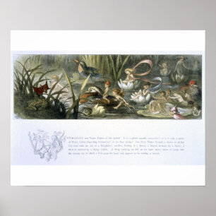 Water-Lilies and Water Fairies, illustration from Poster