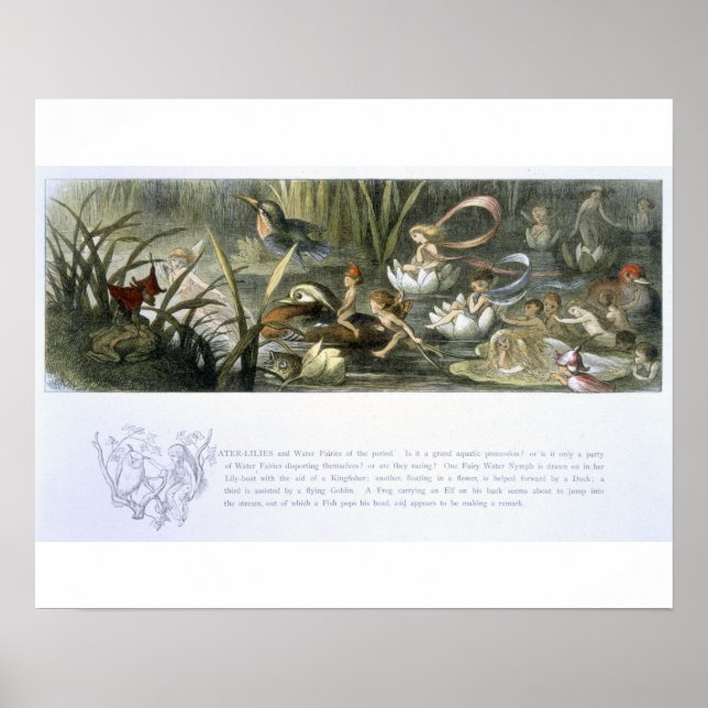 Water-Lilies and Water Fairies, illustration from Poster (Front)