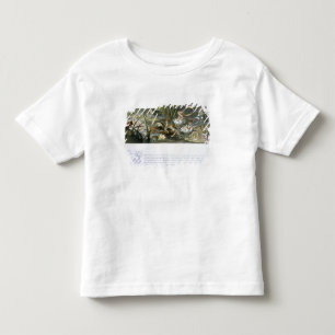 Water-Lilies and Water Fairies, illustration from Toddler T-shirt