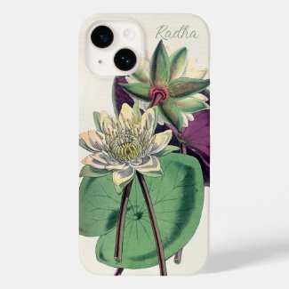 Water Lilies Botanical Lithograph