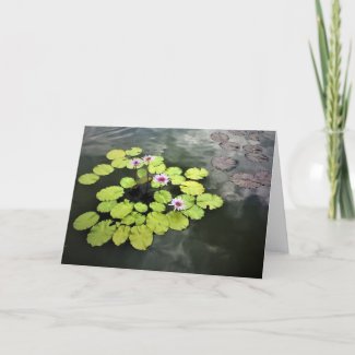Water Lilies card