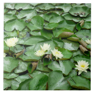 Water Lilies Ceramic Tile