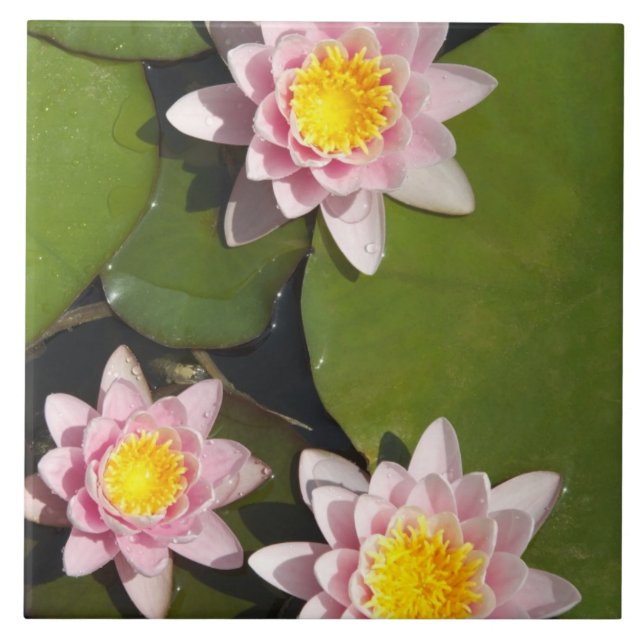 Water lilies ceramic tile (Front)