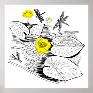 Water-lilies engraving poster