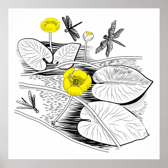 Water-lilies engraving poster (Front)