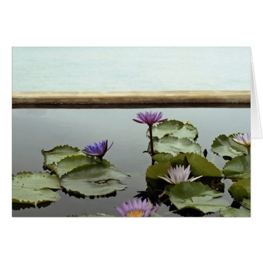 Water lilies in pond by ocean cards (Front Horizontal)