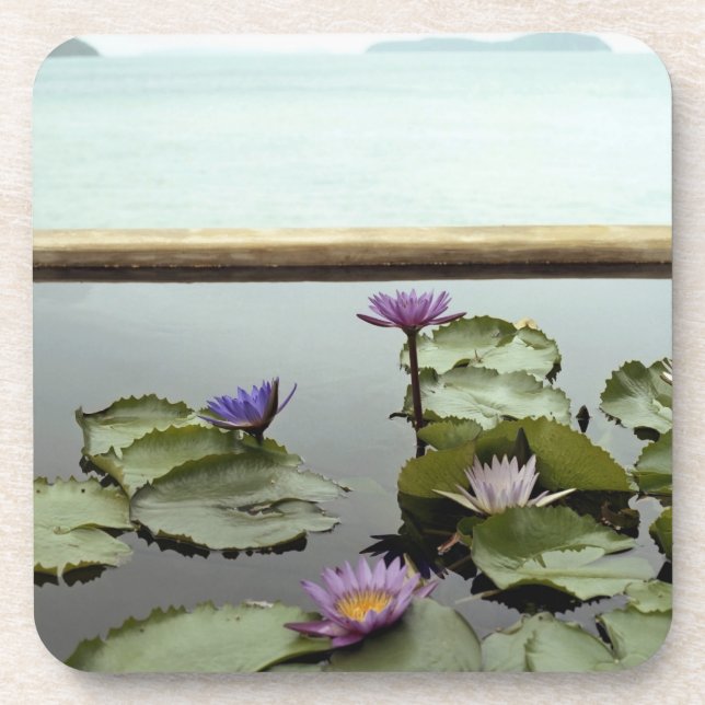 Water lilies in pond by ocean drink coaster (Front)