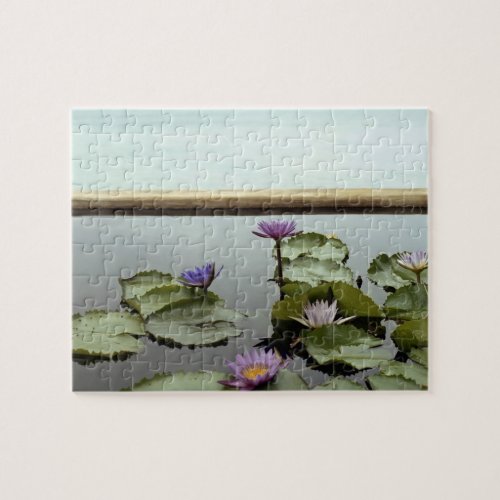 Water lilies in pond by ocean jigsaw puzzle