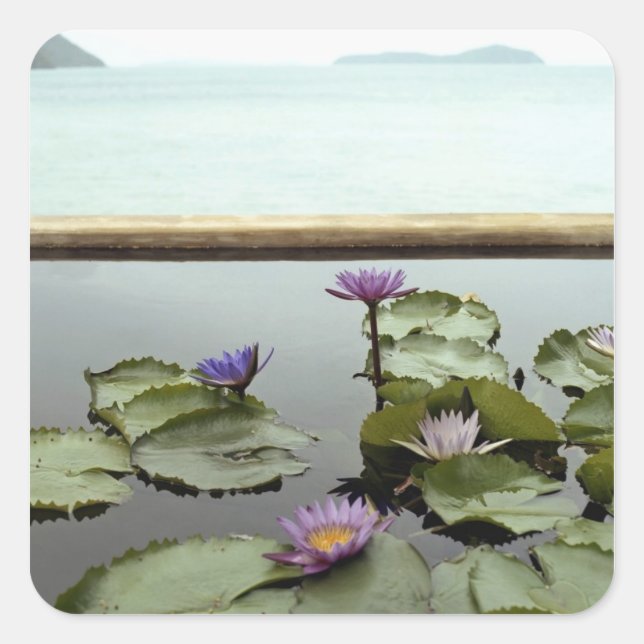 Water lilies in pond by ocean square sticker (Front)