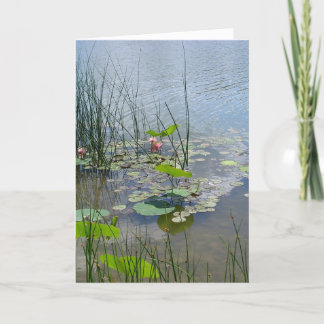 Water Lilies in the Pond Thank You Card