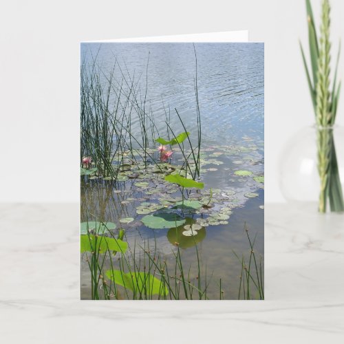 Water Lilies in the Pond  Thank You Card