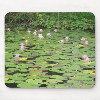 water lilies mouse pad