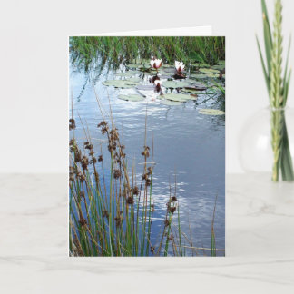 'Water Lilies' Sympathy Card