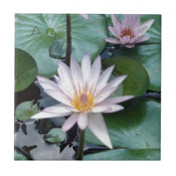 Water Lilies Tile by h2oWater at Zazzle