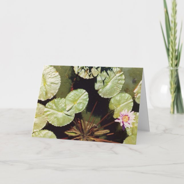Water Lillies 02 Card (Front)