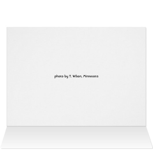 Water Lilly Cards (Inside Horizontal (Top))
