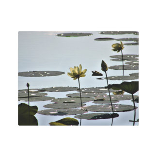 Water Lilly Metal Print