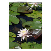 Water Lily (Front)