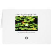 Water Lily (Back Horizontal)