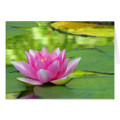 Water Lily (Front Horizontal)