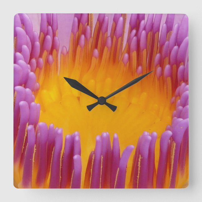 Water Lily 1 Wall Clocks & Numeral Options (Front)