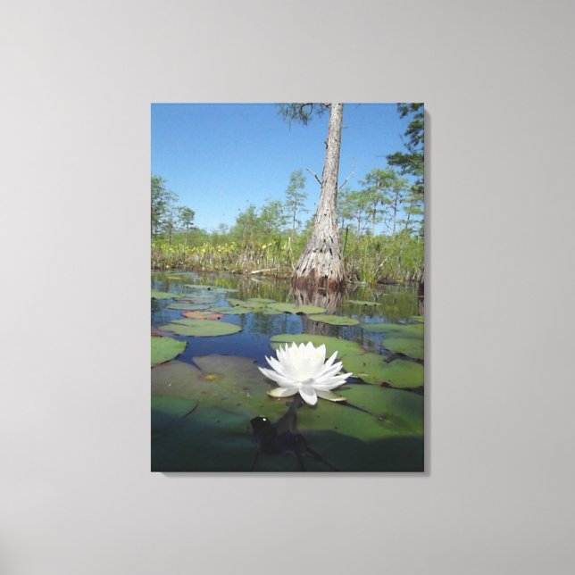 Water Lily 2 Canvas Print (Front)