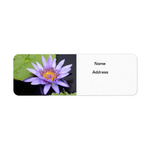 Water Lily 2 Label