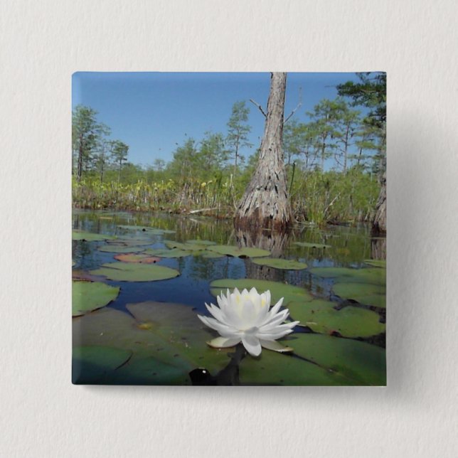 Water Lily 2 Pinback Button (Front)