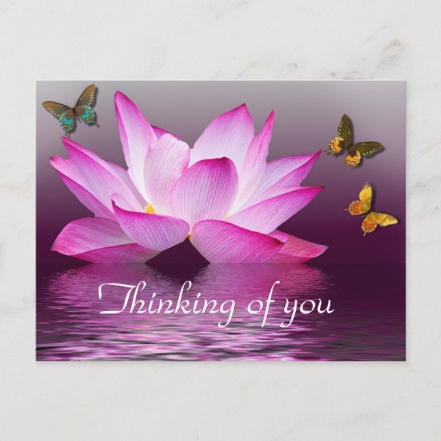 Water Lily and Butterflies Postcard (Front)