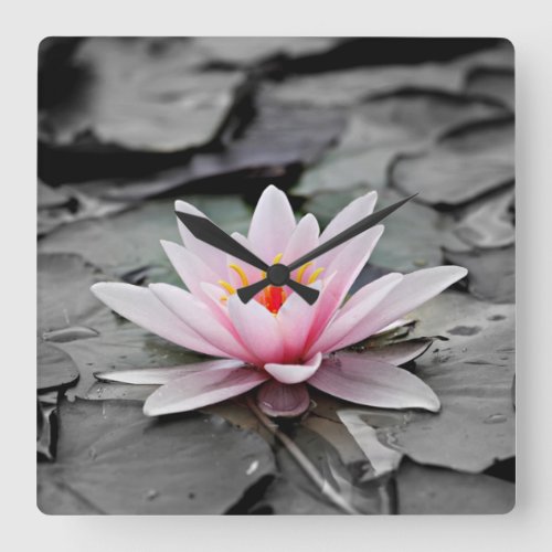 Water Lily Aquatic Plant Acrylic Wall Clock