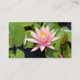 water lily aquatic plant water hyacinth leaves business card