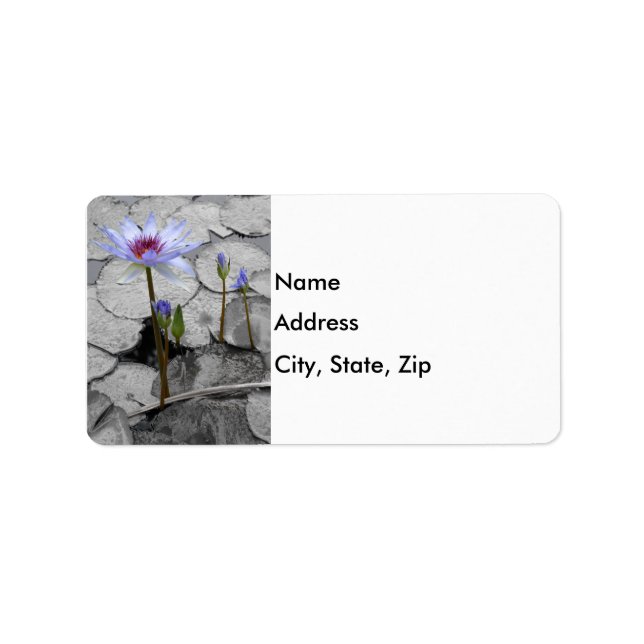 Water Lily Beauty Label (Front)