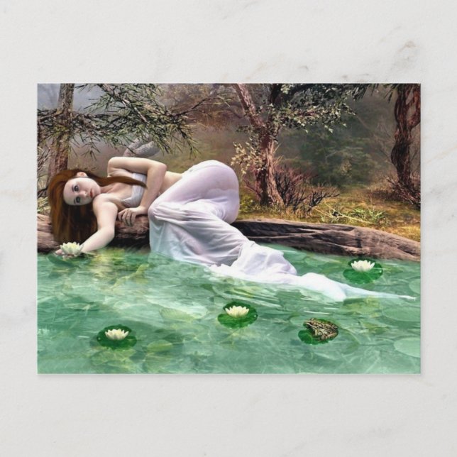 Water lily beauty postcard (Front)