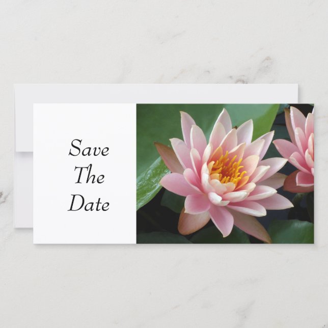 Water Lily Beauty Save The Date (Front)