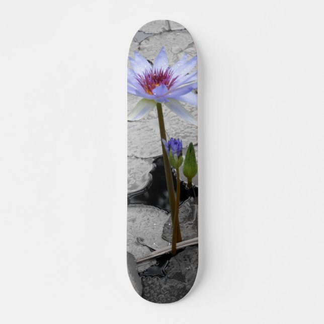 Water Lily Beauty Skateboard Deck (Front)