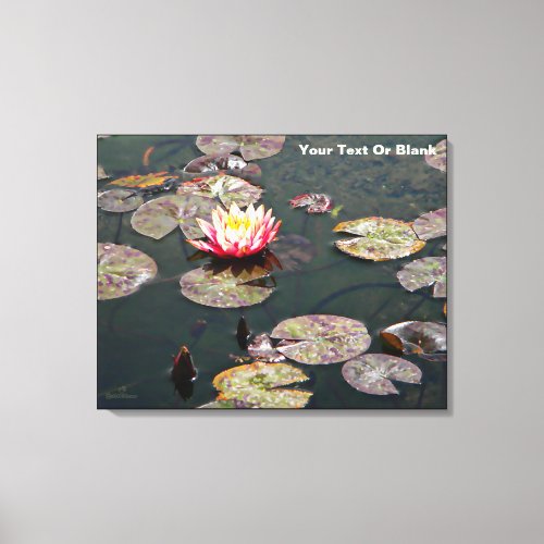 Water Lily Blossom Canvas Print