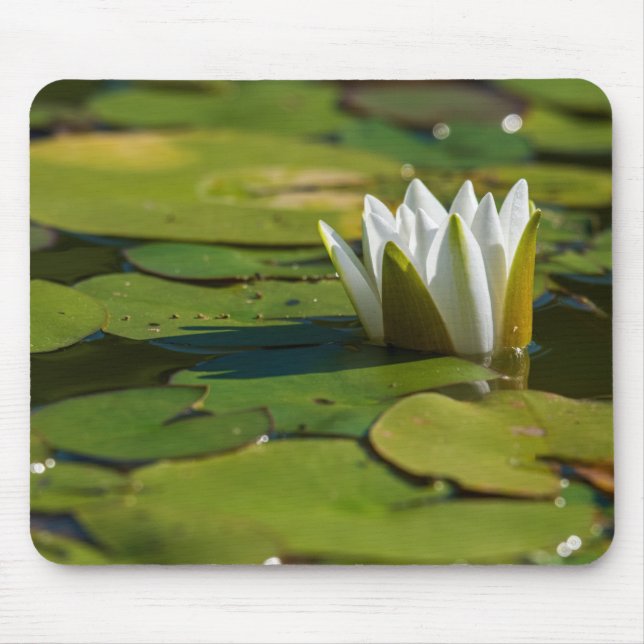 Water Lily Blossom Mouse Pad (Front)