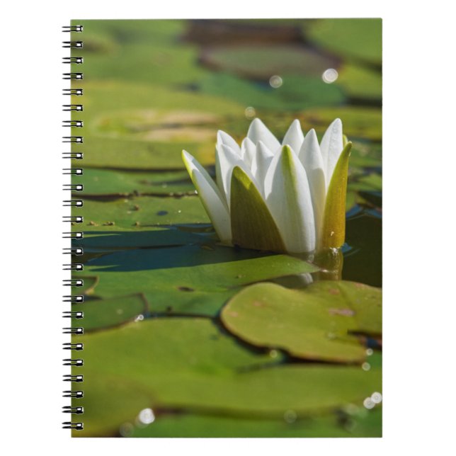 Water Lily Blossom Notebook (Front)