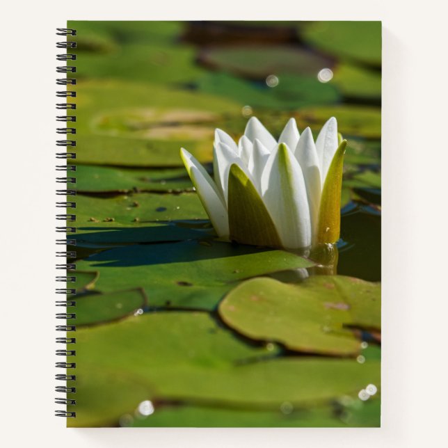 Water Lily Blossom Notebook (Front)
