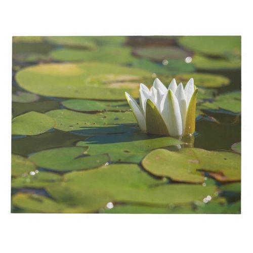 Water Lily Blossom Notepad