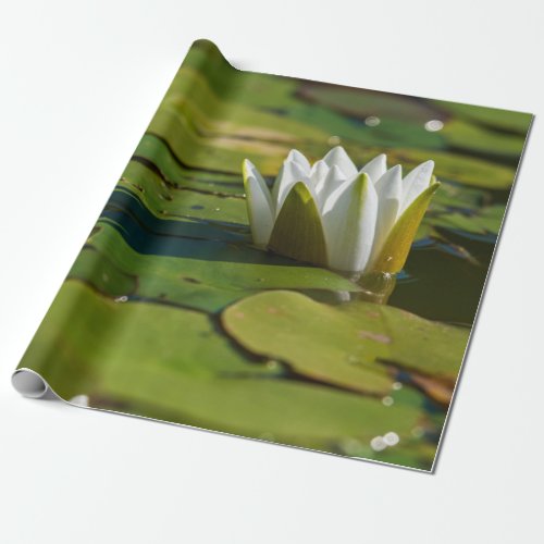 Water Lily Blossom Wrapping Paper