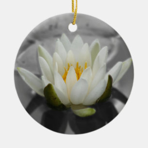 Water Lily BW Flower Ornament