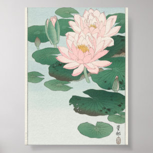 Water Lily by Ohara Koson (1920–1930) Poster